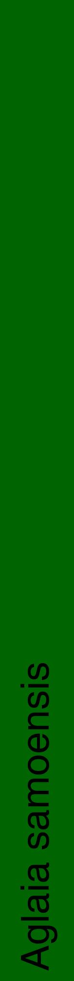 Étiquette de : Aglaia samoensis - format a - style noire8hel avec comestibilité
