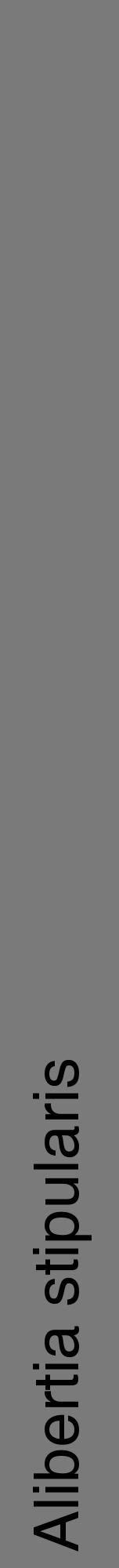 Étiquette de : Alibertia stipularis - format a - style noire3hel avec comestibilité - position verticale