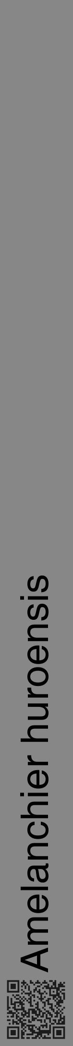 Étiquette de : Amelanchier huroensis - format a - style noire12hel avec qrcode et comestibilité - position verticale