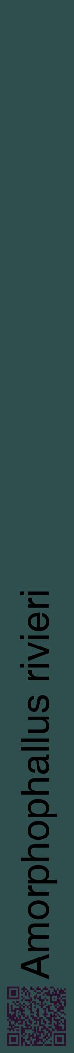 Étiquette de : Amorphophallus rivieri - format a - style noire58hel avec qrcode et comestibilité