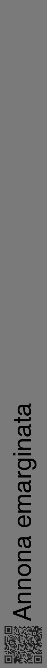 Étiquette de : Annona emarginata - format a - style noire3hel avec qrcode et comestibilité - position verticale