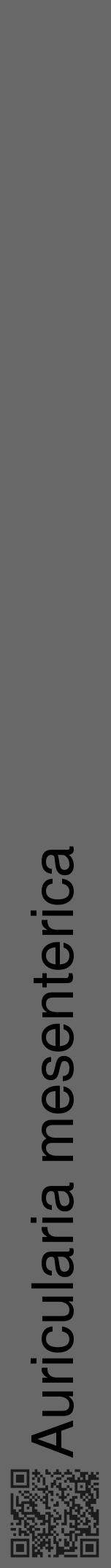 Étiquette de : Auricularia mesenterica - format a - style noire43hel avec qrcode et comestibilité - position verticale