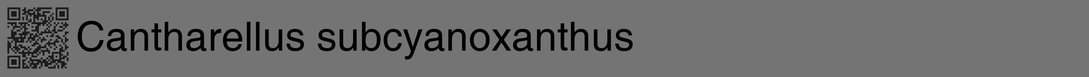 Étiquette de : Cantharellus subcyanoxanthus - format a - style noire26hel avec qrcode et comestibilité