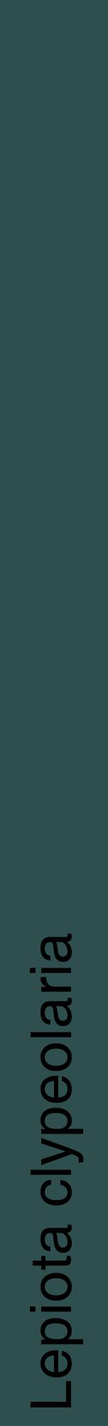 Étiquette de : Lepiota clypeolaria - format a - style noire58hel avec comestibilité