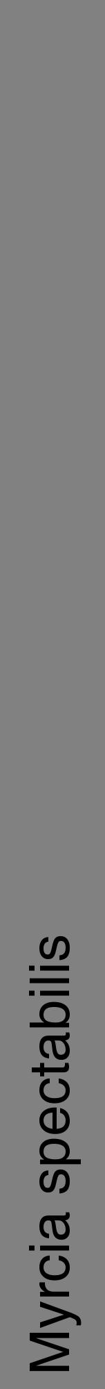 Étiquette de : Myrcia spectabilis - format a - style noire50hel avec comestibilité - position verticale