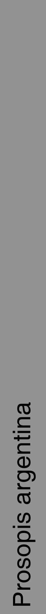 Étiquette de : Prosopis argentina - format a - style noire44hel avec comestibilité - position verticale