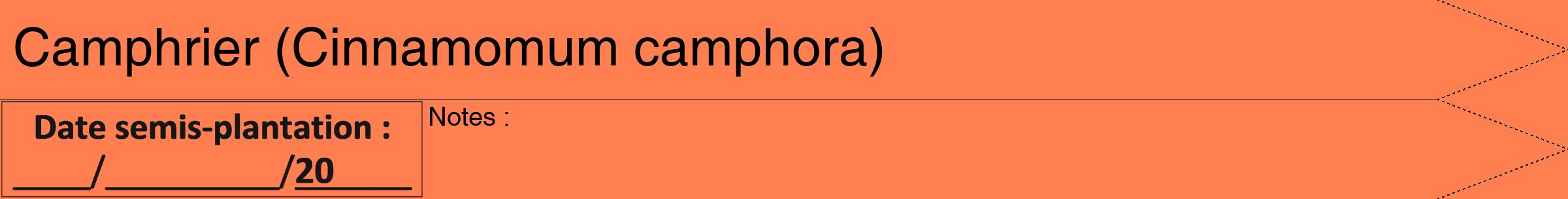Étiquette de : Cinnamomum camphora - format b - style noire24hel avec comestibilité