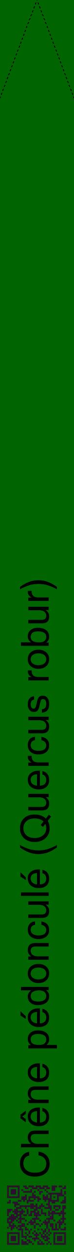 Étiquette de : Quercus robur - format b - style noire8hel avec qrcode et comestibilité