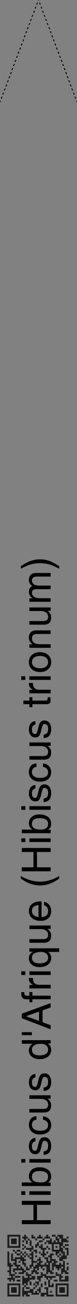 Étiquette de : Hibiscus trionum - format b - style noire50hel avec qrcode et comestibilité - position verticale
