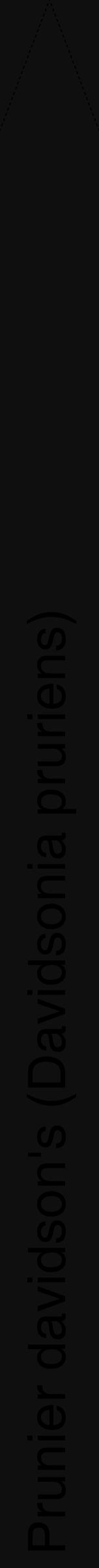 Étiquette de : Davidsonia pruriens - format b - style noire7hel avec comestibilité - position verticale