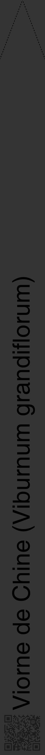 Étiquette de : Viburnum grandiflorum - format b - style noire46hel avec qrcode et comestibilité - position verticale