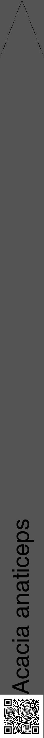 Étiquette de : Acacia anaticeps - format b - style noire36hel avec qrcode et comestibilité - position verticale