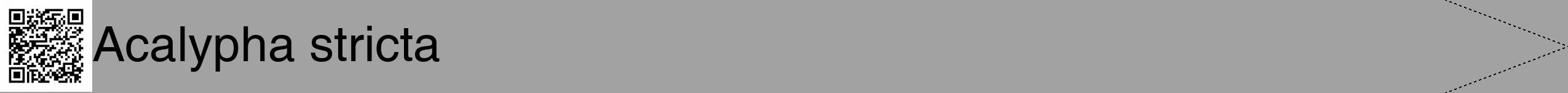 Étiquette de : Acalypha stricta - format b - style noire38hel avec qrcode et comestibilité