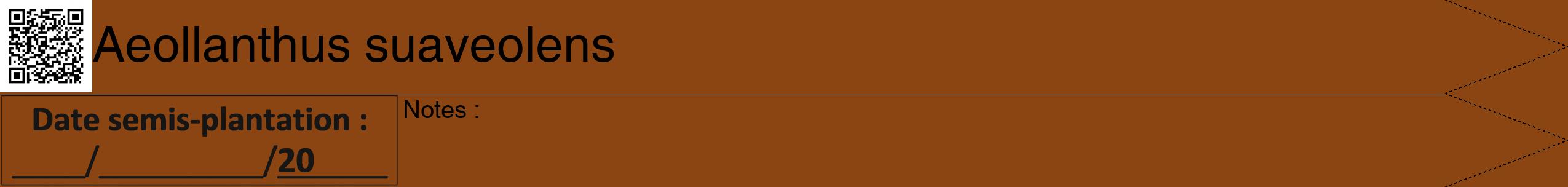 Étiquette de : Aeollanthus suaveolens - format b - style noire30hel avec qrcode et comestibilité