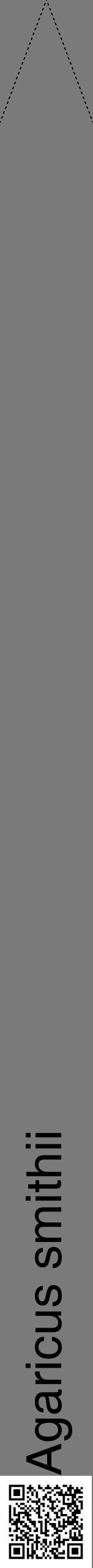 Étiquette de : Agaricus smithii - format b - style noire3hel avec qrcode et comestibilité - position verticale