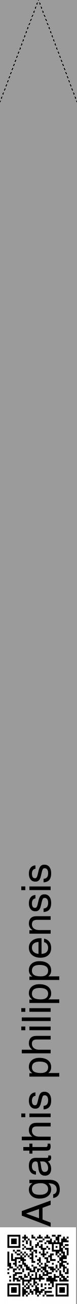 Étiquette de : Agathis philippensis - format b - style noire52hel avec qrcode et comestibilité - position verticale
