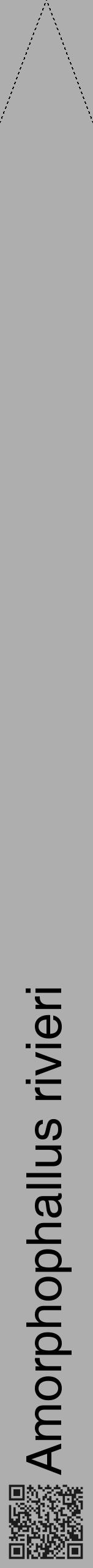 Étiquette de : Amorphophallus rivieri - format b - style noire53hel avec qrcode et comestibilité - position verticale