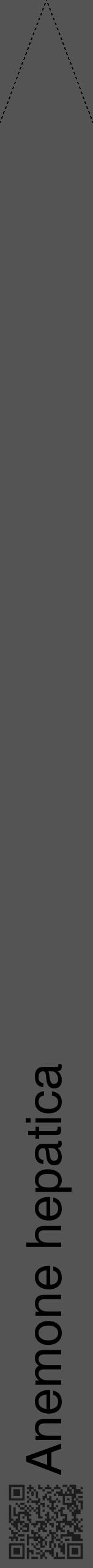 Étiquette de : Anemone hepatica - format b - style noire30hel avec qrcode et comestibilité - position verticale