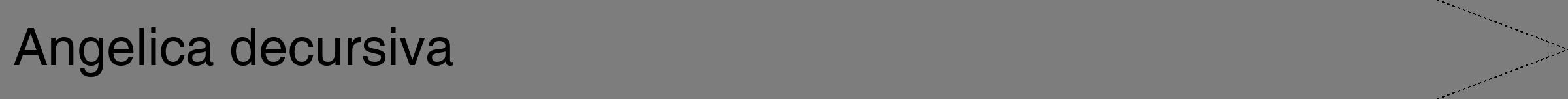 Étiquette de : Angelica decursiva - format b - style noire35hel avec comestibilité