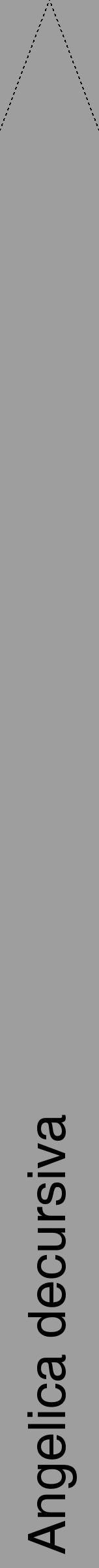 Étiquette de : Angelica decursiva - format b - style noire23hel avec comestibilité - position verticale