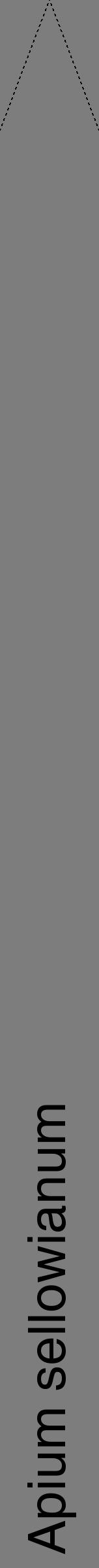 Étiquette de : Apium sellowianum - format b - style noire35hel avec comestibilité - position verticale