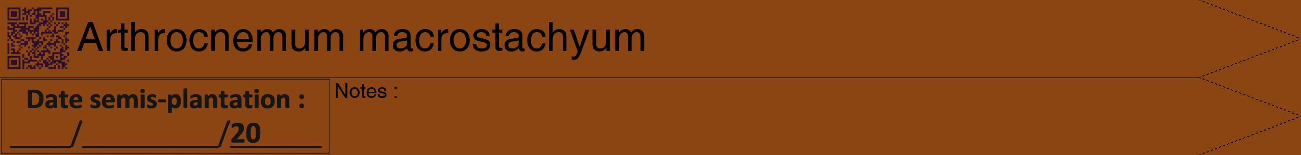 Étiquette de : Arthrocnemum macrostachyum - format b - style noire30hel avec qrcode et comestibilité