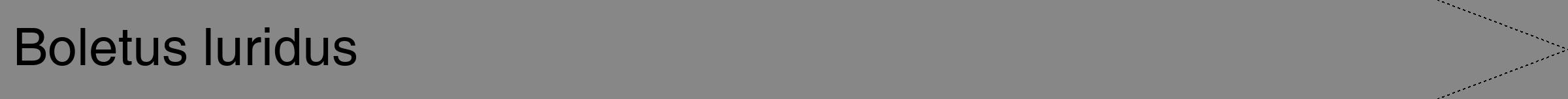 Étiquette de : Boletus luridus - format b - style noire12hel avec comestibilité