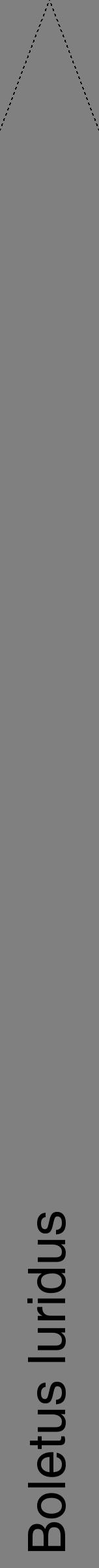 Étiquette de : Boletus luridus - format b - style noire57hel avec comestibilité