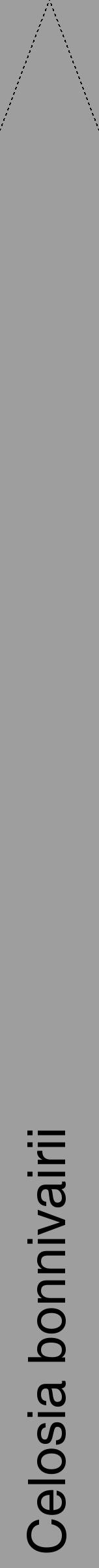 Étiquette de : Celosia bonnivairii - format b - style noire23hel avec comestibilité - position verticale