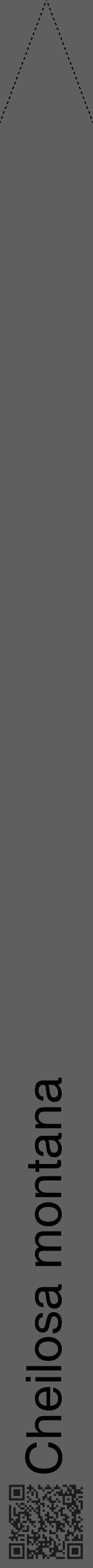 Étiquette de : Cheilosa montana - format b - style noire10hel avec qrcode et comestibilité - position verticale