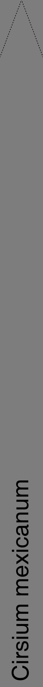 Étiquette de : Cirsium mexicanum - format b - style noire35hel avec comestibilité - position verticale