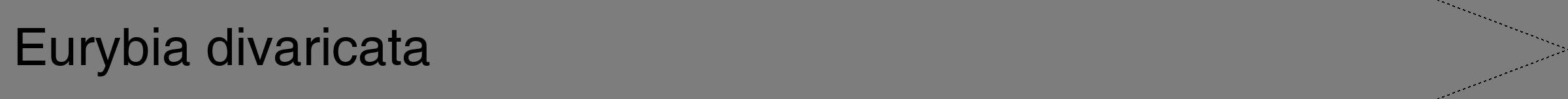 Étiquette de : Eurybia divaricata - format b - style noire35hel avec comestibilité