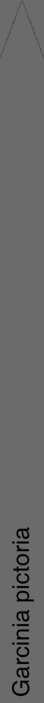 Étiquette de : Garcinia pictoria - format b - style noire51hel avec comestibilité - position verticale