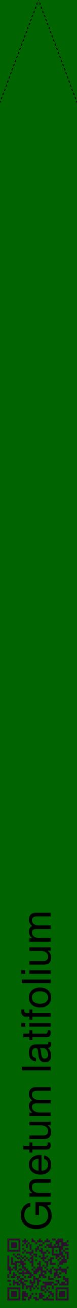 Étiquette de : Gnetum latifolium - format b - style noire8hel avec qrcode et comestibilité