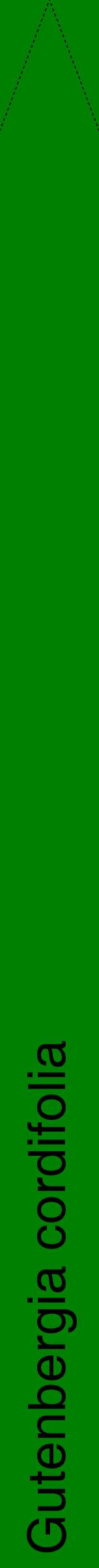 Étiquette de : Gutenbergia cordifolia - format b - style noire9hel avec comestibilité