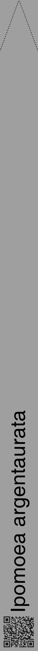 Étiquette de : Ipomoea argentaurata - format b - style noire24hel avec qrcode et comestibilité - position verticale