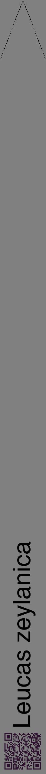 Étiquette de : Leucas zeylanica - format b - style noire57hel avec qrcode et comestibilité