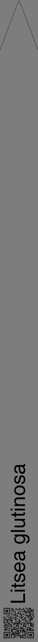 Étiquette de : Litsea glutinosa - format b - style noire35hel avec qrcode et comestibilité - position verticale