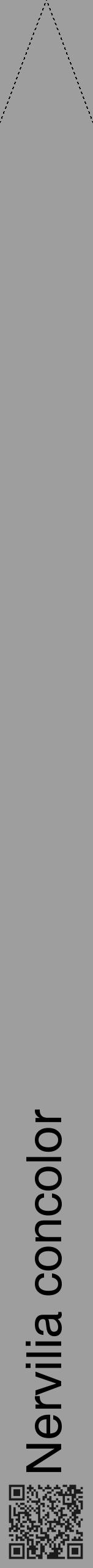 Étiquette de : Nervilia concolor - format b - style noire42hel avec qrcode et comestibilité - position verticale