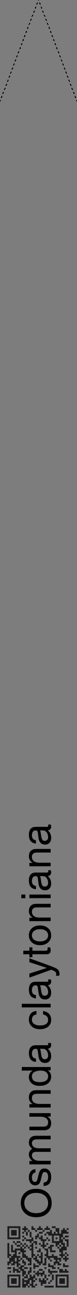 Étiquette de : Osmunda claytoniana - format b - style noire35hel avec qrcode et comestibilité - position verticale