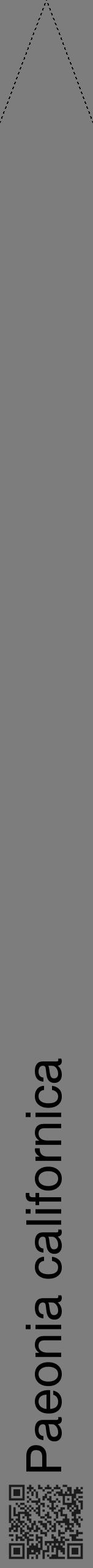 Étiquette de : Paeonia californica - format b - style noire35hel avec qrcode et comestibilité - position verticale