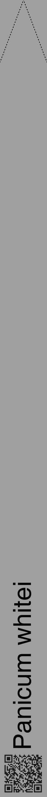 Étiquette de : Panicum whitei - format b - style noire24hel avec qrcode et comestibilité - position verticale