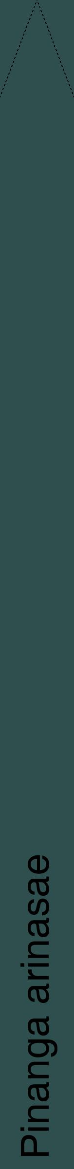 Étiquette de : Pinanga arinasae - format b - style noire58hel avec comestibilité