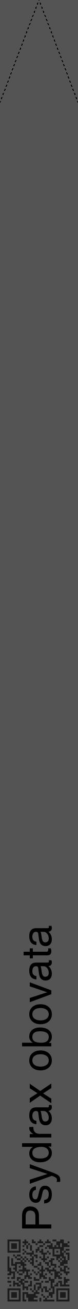 Étiquette de : Psydrax obovata - format b - style noire30hel avec qrcode et comestibilité - position verticale