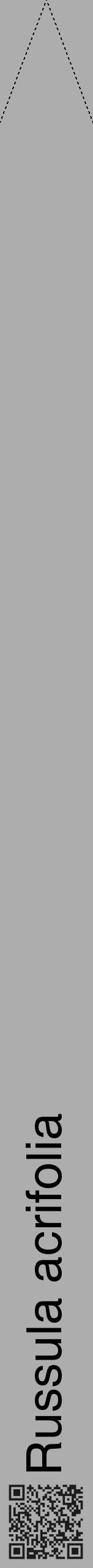 Étiquette de : Russula acrifolia - format b - style noire22hel avec qrcode et comestibilité - position verticale