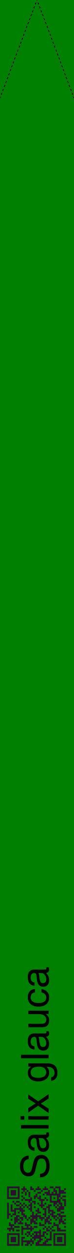 Étiquette de : Salix glauca - format b - style noire9hel avec qrcode et comestibilité