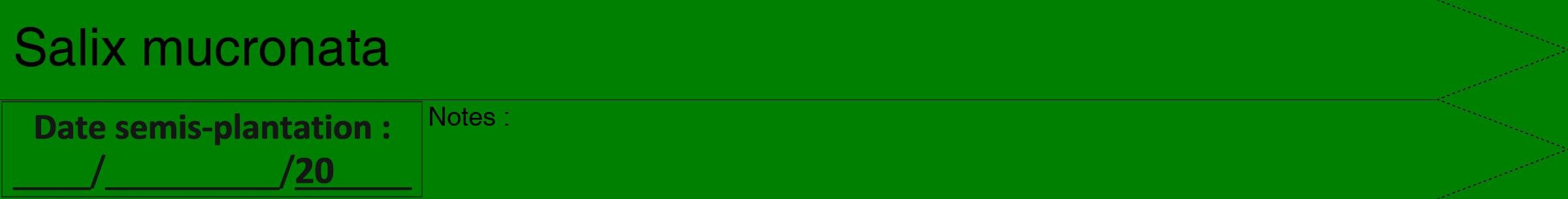 Étiquette de : Salix mucronata - format b - style noire9hel avec comestibilité