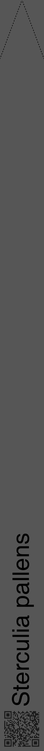 Étiquette de : Sterculia pallens - format b - style noire45hel avec qrcode et comestibilité - position verticale