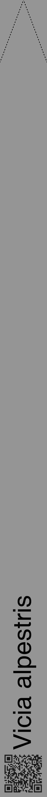 Étiquette de : Vicia alpestris - format b - style noire16hel avec qrcode et comestibilité - position verticale
