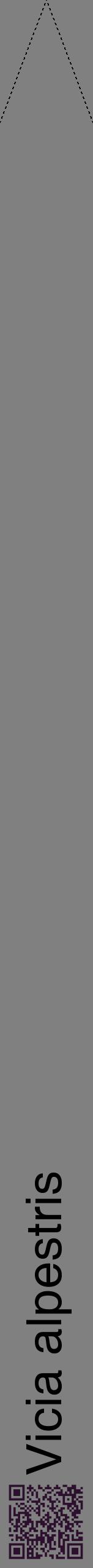 Étiquette de : Vicia alpestris - format b - style noire57hel avec qrcode et comestibilité